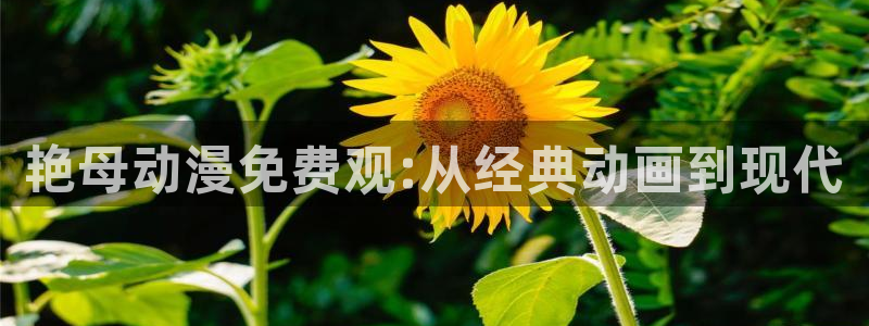 囧次元官方网站入口最新版本：艳母动漫免费观:从经典动画到现代
