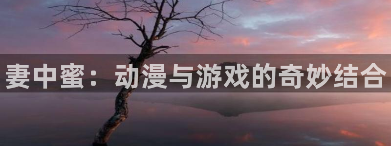 囧次元下载官方app