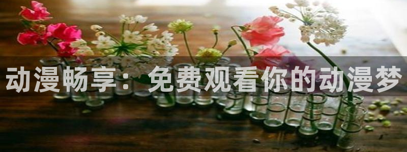 囧次元在线观看