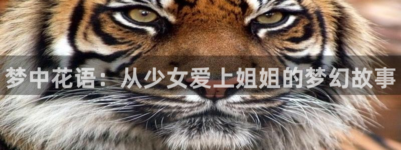 囧次元app官方下载