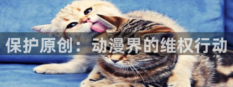 囧次元app官方下载