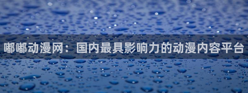 囧次元app正版