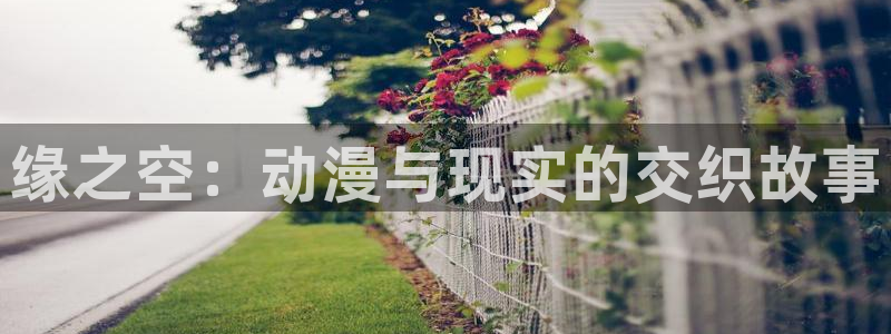 囧次元动漫官网