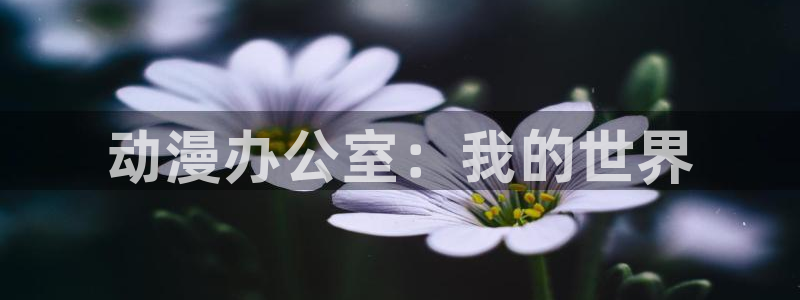 囧次元正版入口