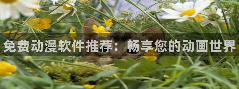 囧次元官网下载入口