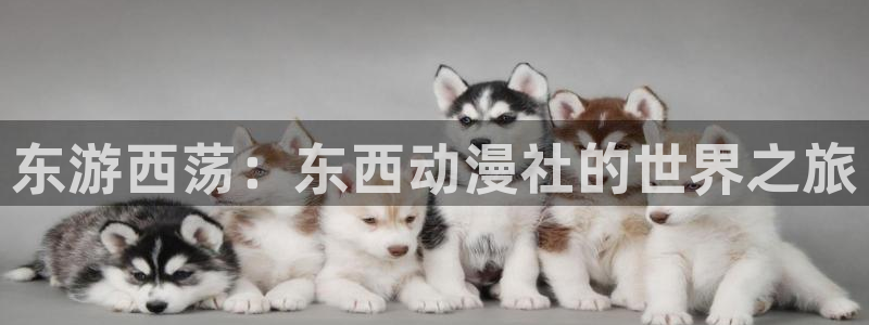 囧次元下载免费版