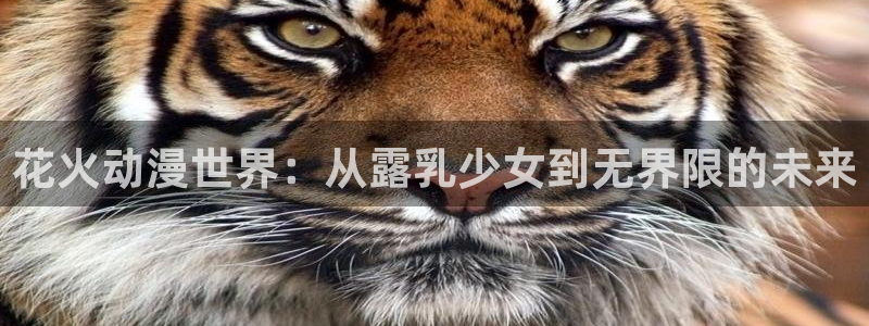 囧次元官方网