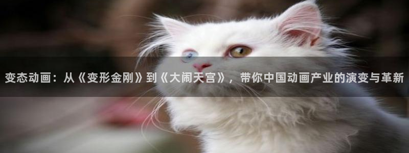 囧次元app官网