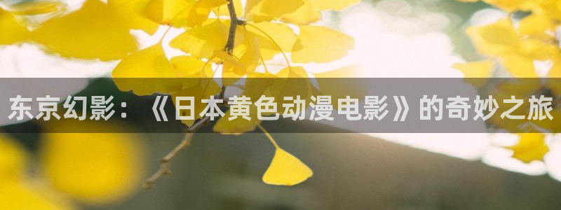 囧次元在线观看入口