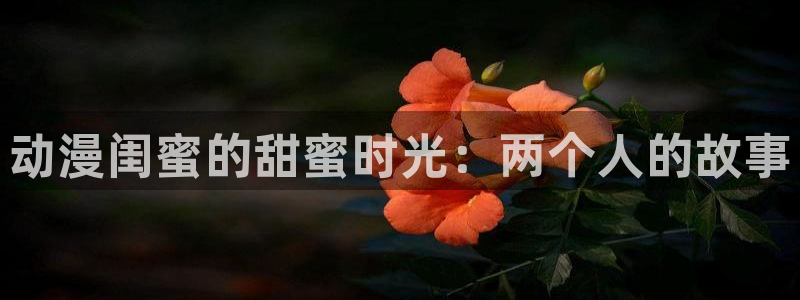 囧次元大全