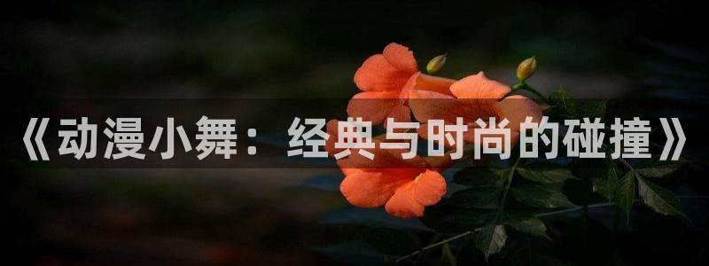 囧次元app最新版