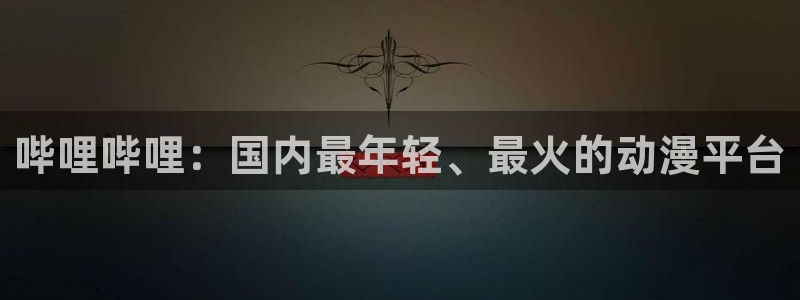 囧次元下载链接：哔哩哔哩：国内最年轻、最火的动漫平台