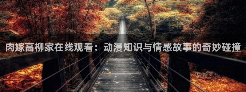 囧次元正版入口：肉嫁高柳家在线观看：动漫知识与情感故事的奇妙碰撞