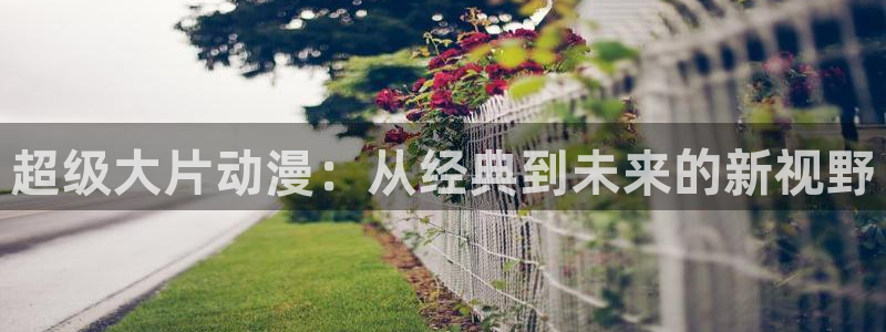 囧次元新版下载：超级大片动漫：从经典到未来的新视野