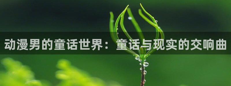 囧次元官网网址最新：动漫男的童话世界：童话与现实的交响曲