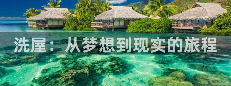 囧次元最新版本下载官方正版：洗屋：从梦想到现实的旅程