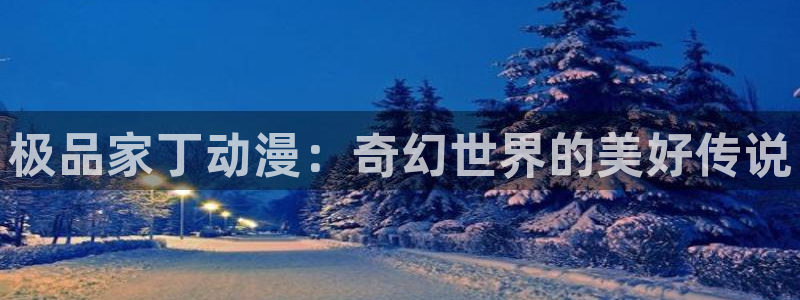 囧次元最新版：极品家丁动漫：奇幻世界的美好传说