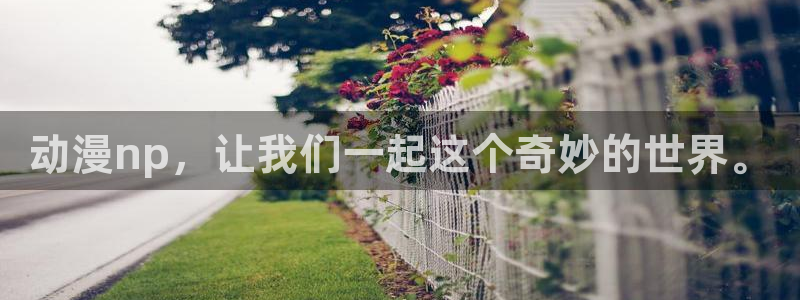 囧次元正版下载