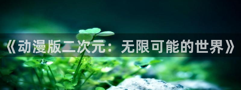 囧次元软件