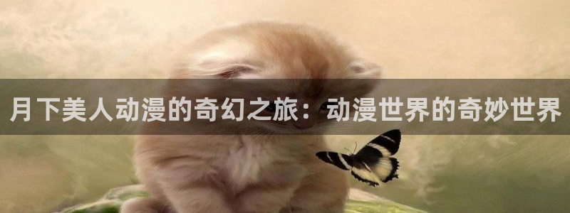 囧次元官方网页版