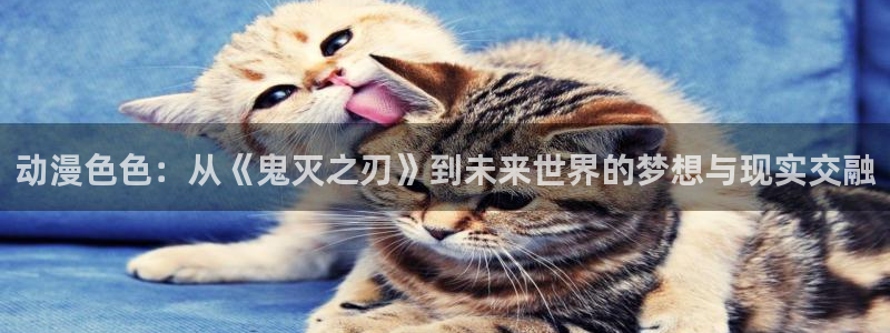 囧次元动漫app官网下载