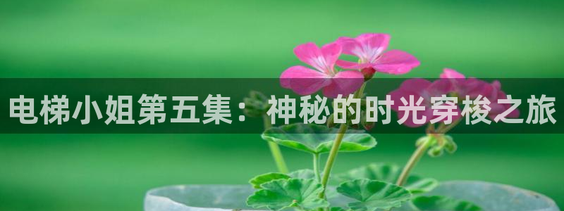 囧次元可看片子版