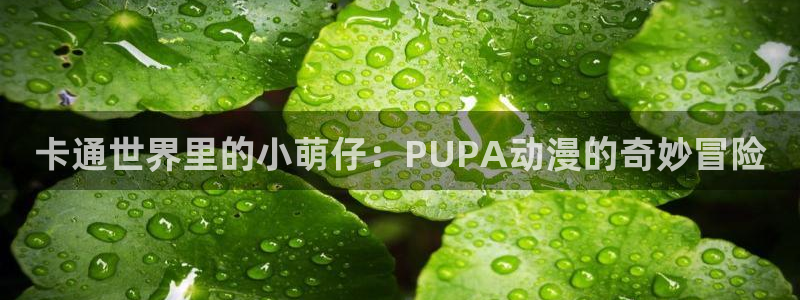 囧次元app官方版下载
