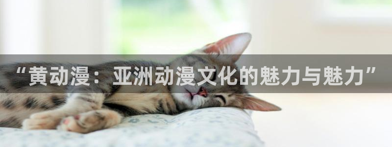 囧次元正版官方下载