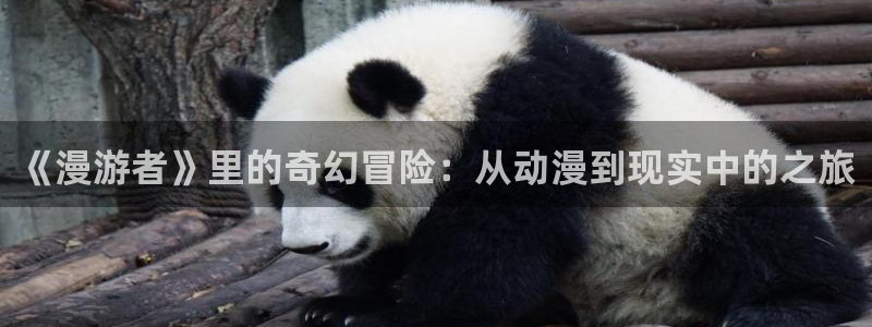 囧次元最新下载