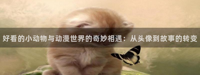 囧次元更新最新版本