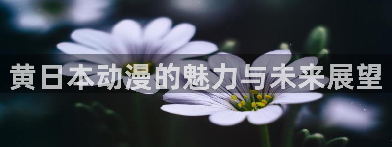 最新囧次元app下载