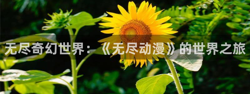 囧次元正版下载安装