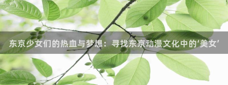 囧次元app下载安装
