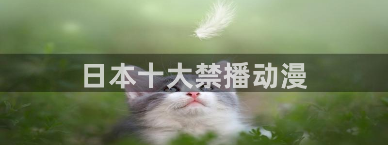 囧次元官方正版app下载