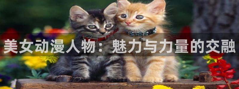 囧次元正版官方下载