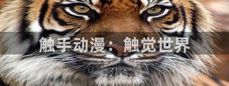 囧次元官方正版下载