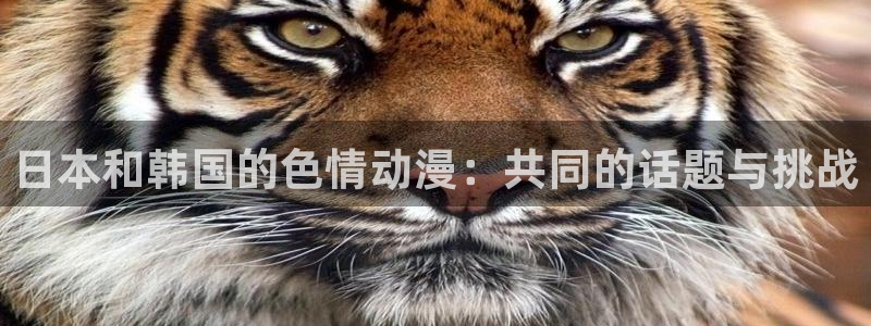 囧次元官方app下载