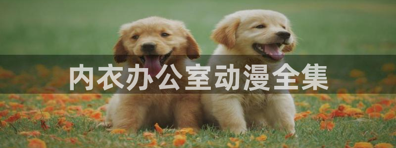 囧次元怎么登录