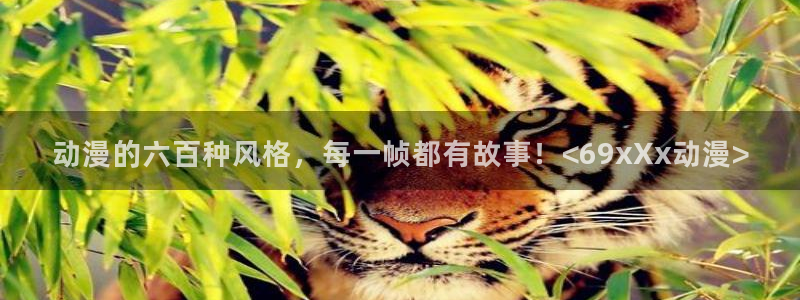 囧次元最新版本