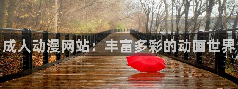 囧次元app
