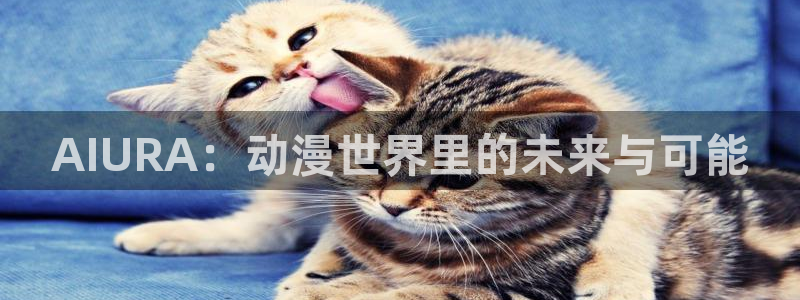 囧次元动漫官网下载