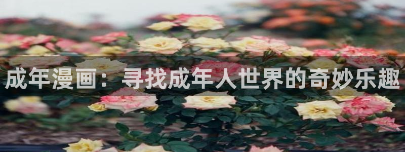 囧次元tv版：成年漫画：寻找成年人世界的奇妙乐趣