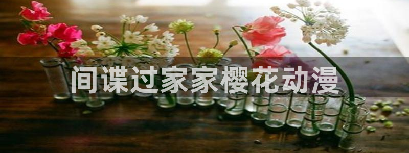 囧次元看动漫免费