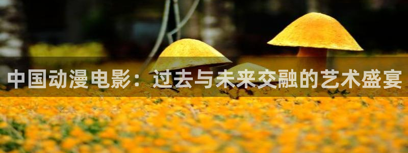 囧次元正版官网下载