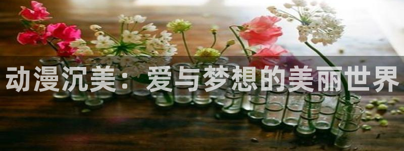囧次元app官方正版下载