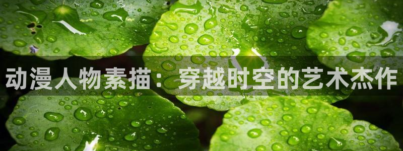 囧次元动漫官网下载入口