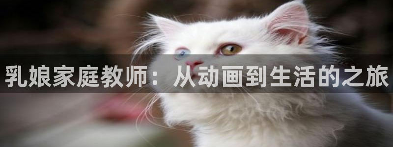 囧次元网页