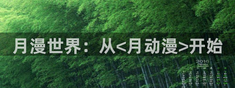 囧次元app正版