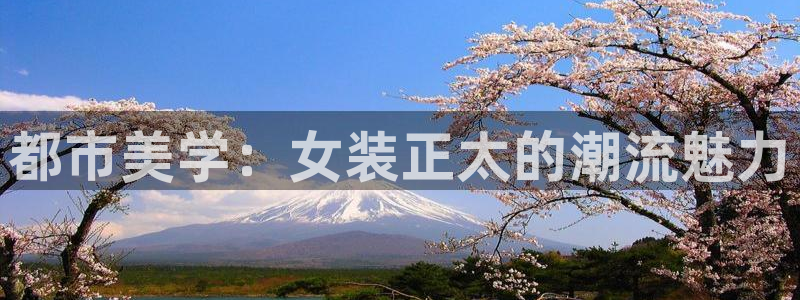 囧次元app下载官网版安卓