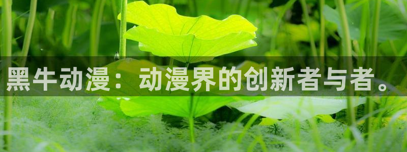 囧次元网页版